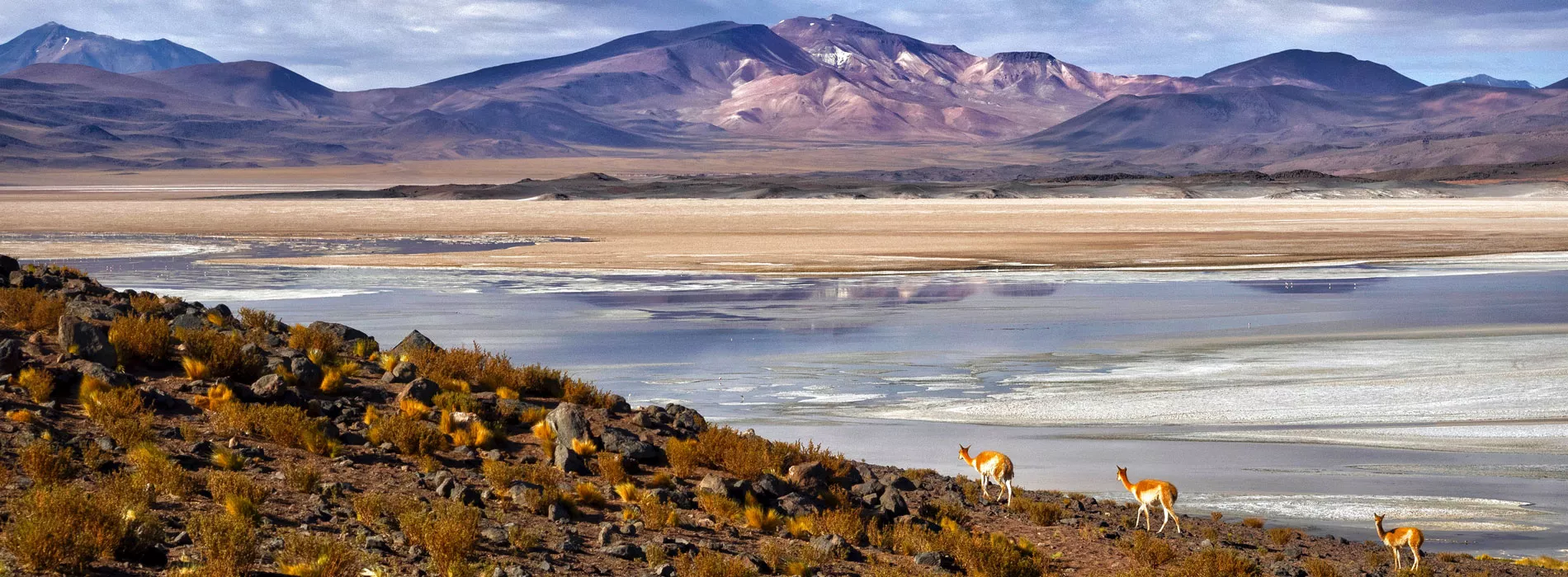 Chiloé, Patagonia, San Pedro de Atacama Tour: Escursione al Salar de Atacama